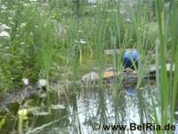 bild5595_small.jpg