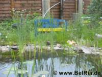 bild5599_small.jpg