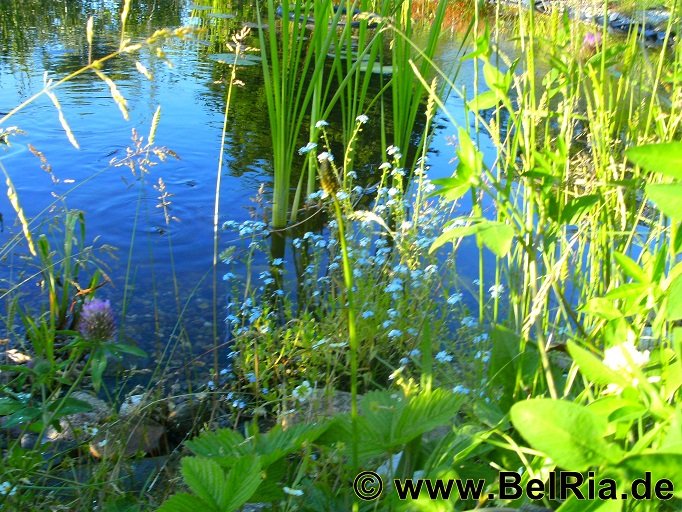bild7737.jpg